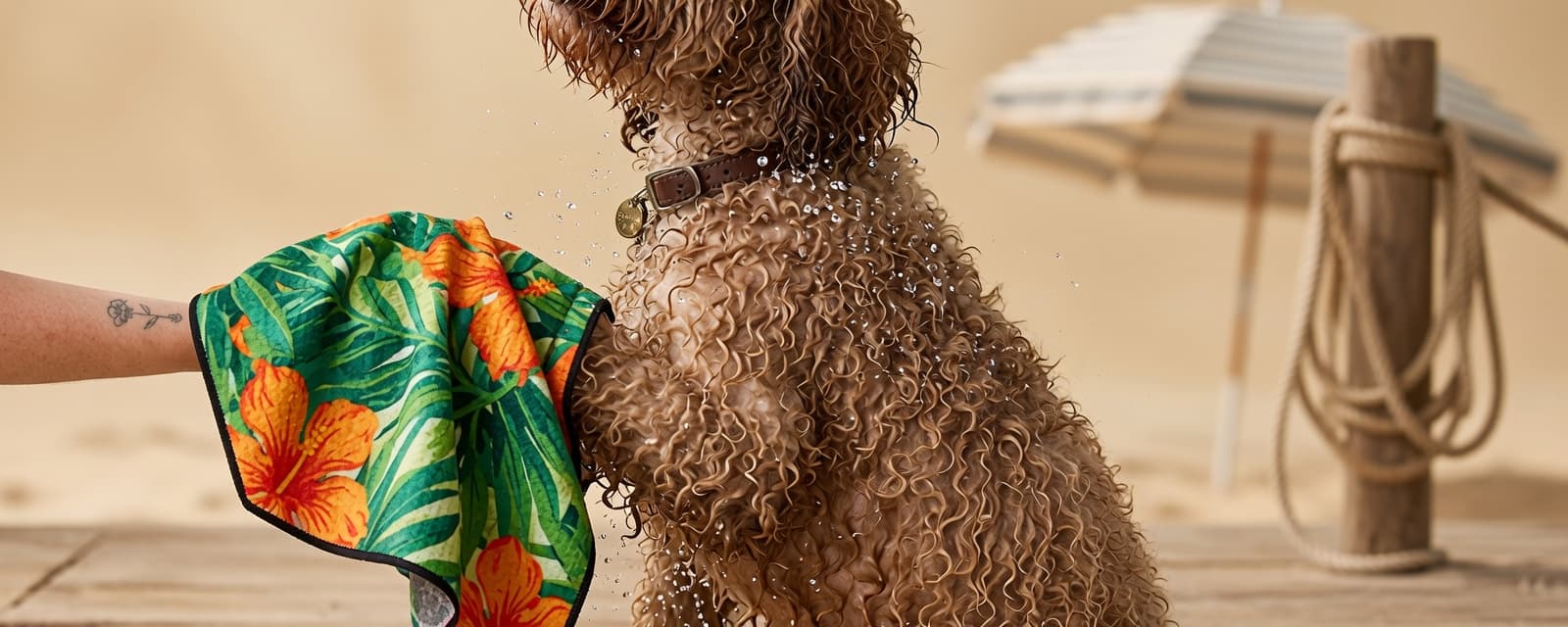 Paw towel preview — puppy giving paw